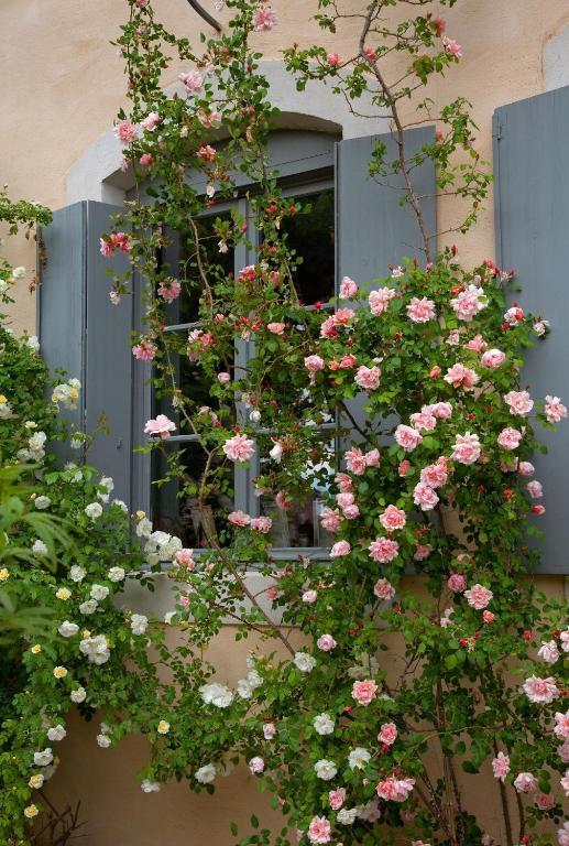 Logis Hotel - Restaurant La Marbrerie Caunes-Minervois Zimmer foto